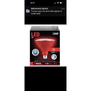 Feit Electric PAR38R10KLED/BX 120V 5W 1400 Lumens PAR38 Red LED Light Bulb